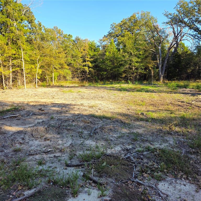 130 Dogwood Drive - Photo 1