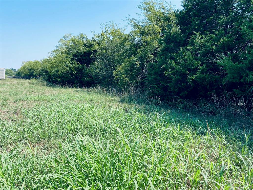 236 County Road 1450 Road - Photo 1