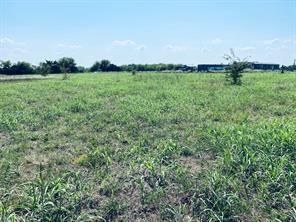 236 County Road 1450 Road - Photo 6