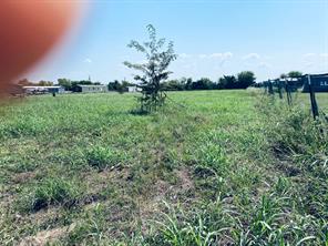 236 County Road 1450 Road - Photo 7