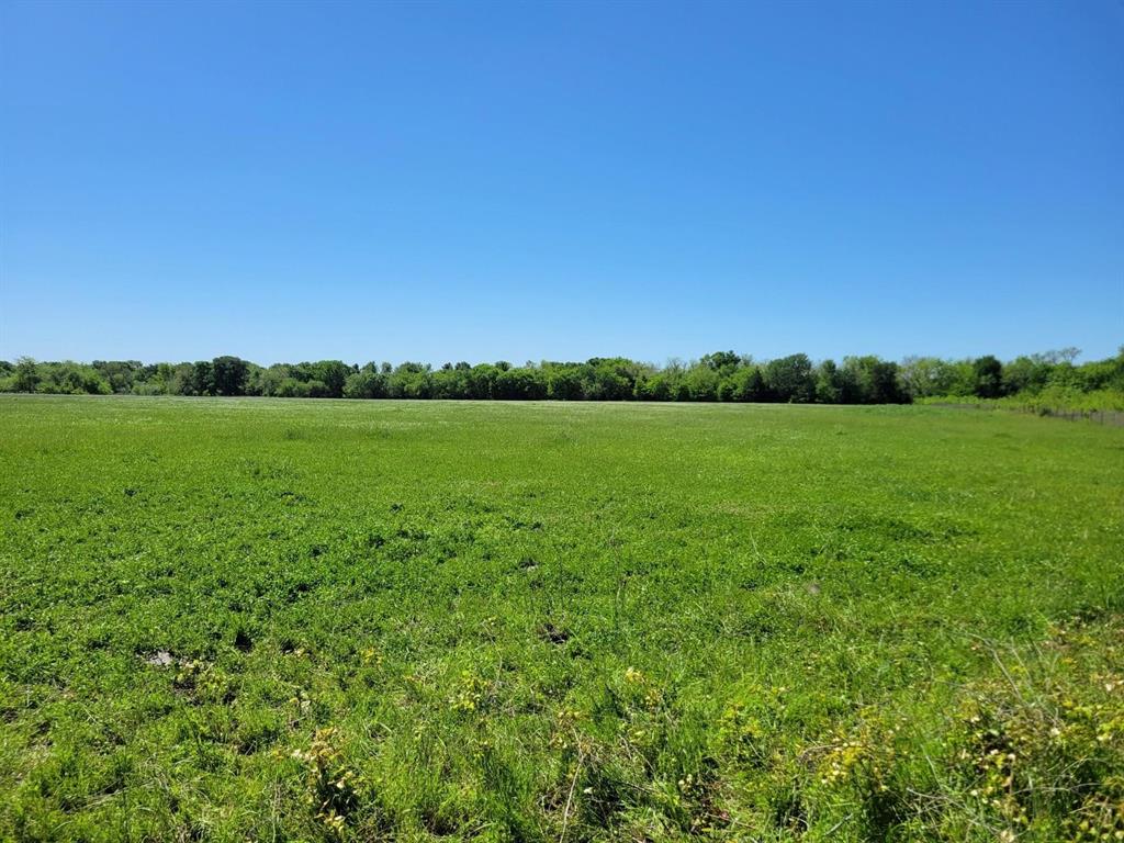 1567 Fm 1567 - Photo 1