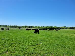 1567 Fm 1567 - Photo 3