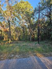 0 Ravenwood Drive - Photo 2