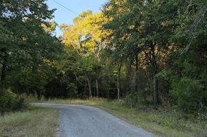 0 Ravenwood Drive - Photo 3