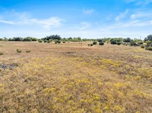 TBD-82.6 Acres Farm Market 221 - Photo 13