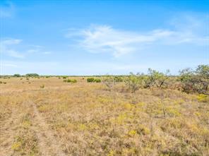 TBD-82.6 Acres Farm Market 221 - Photo 29
