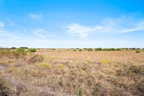 TBD-82.6 Acres Farm Market 221 - Photo 4