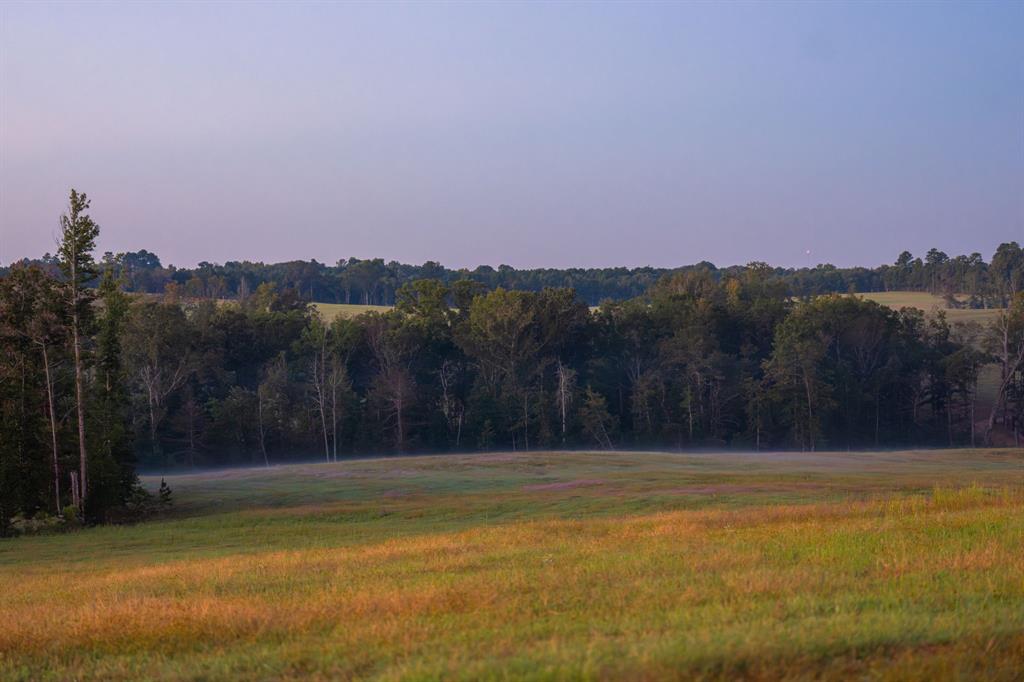 10326 County Road 3112 N - Photo 35