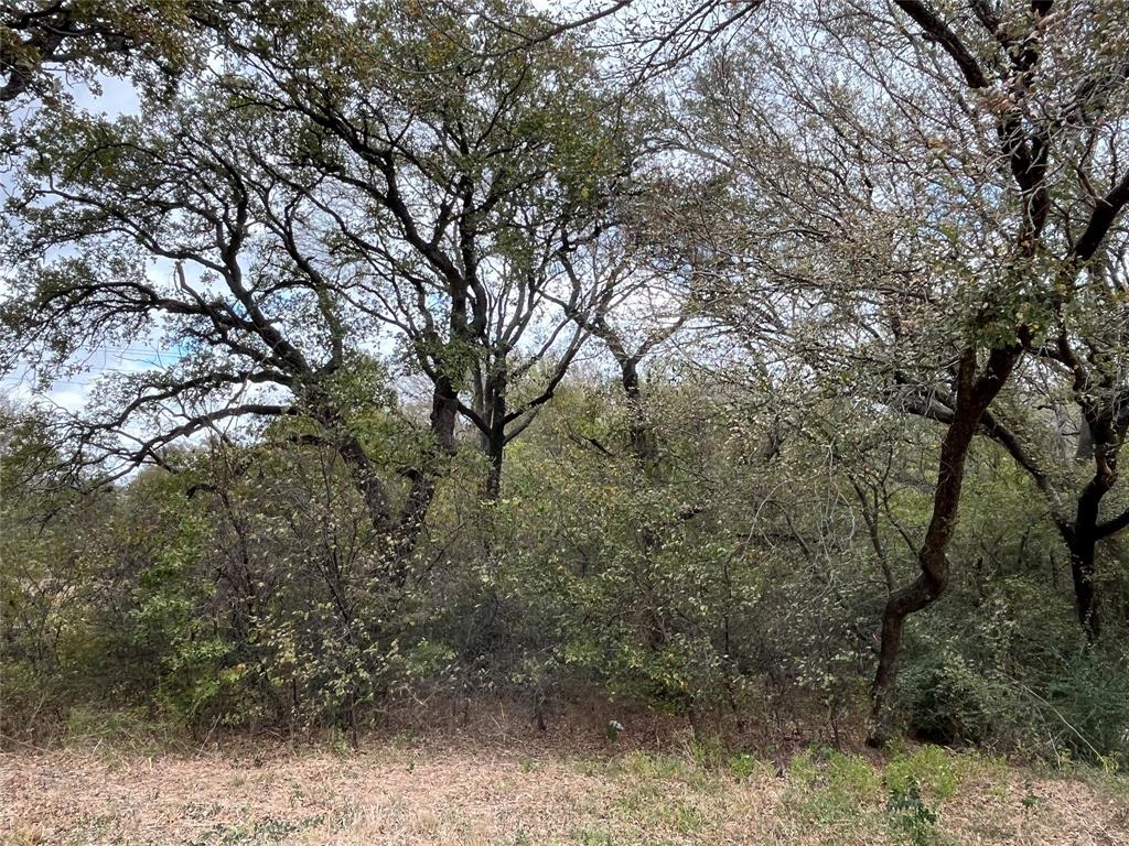 6328 Fm 2738 - Photo 7