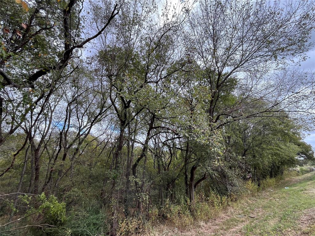 6328 Fm 2738 - Photo 9
