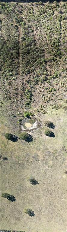 lot 5 Rains CR 2610 - Photo 7
