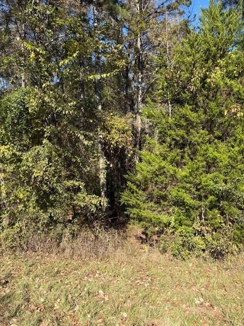 17851 Fm 3079 - Photo 2