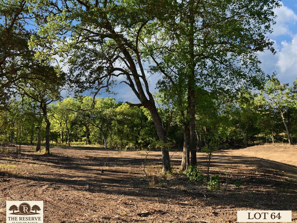 Lot 64 Camden Lane - Photo 10