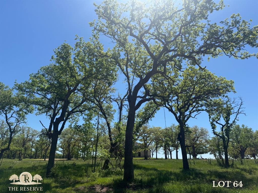 Lot 64 Camden Lane - Photo 3