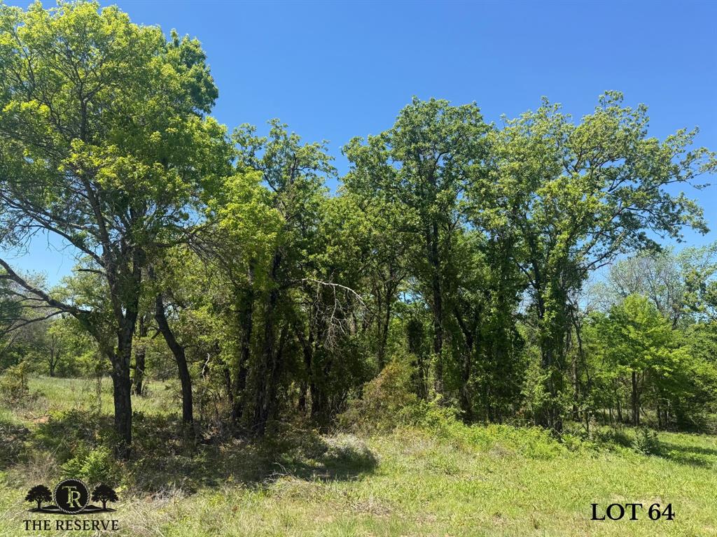 Lot 64 Camden Lane - Photo 6