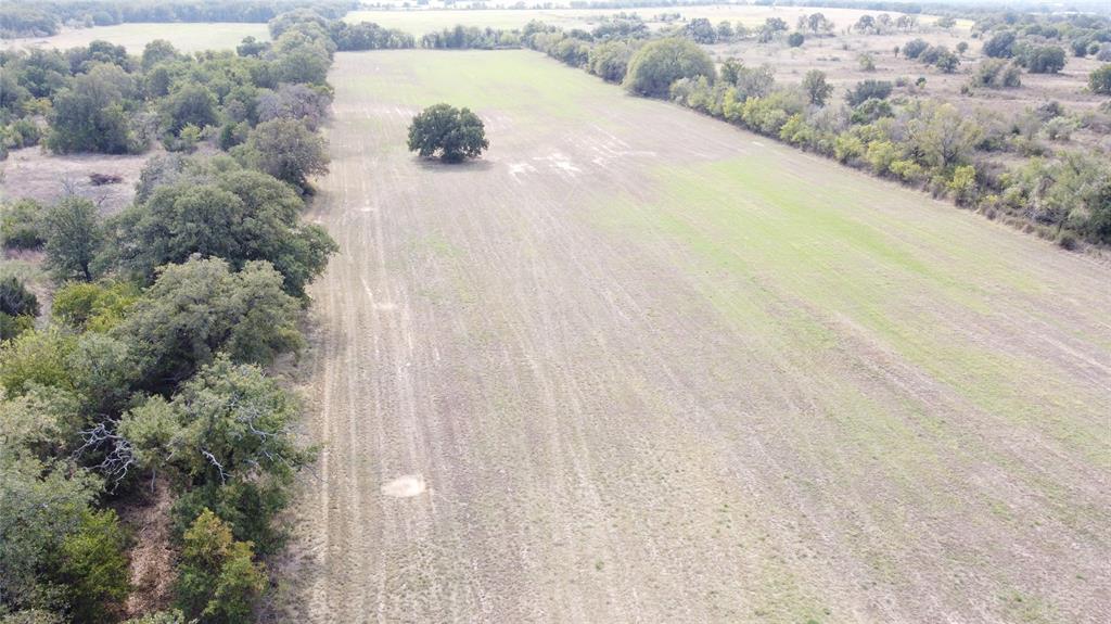 TBD County Road 298 - Photo 20
