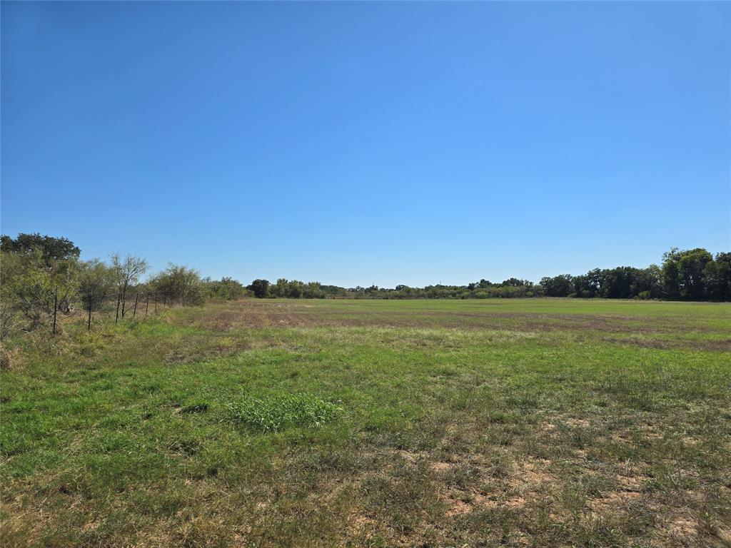 TBD County Road 298 - Photo 3