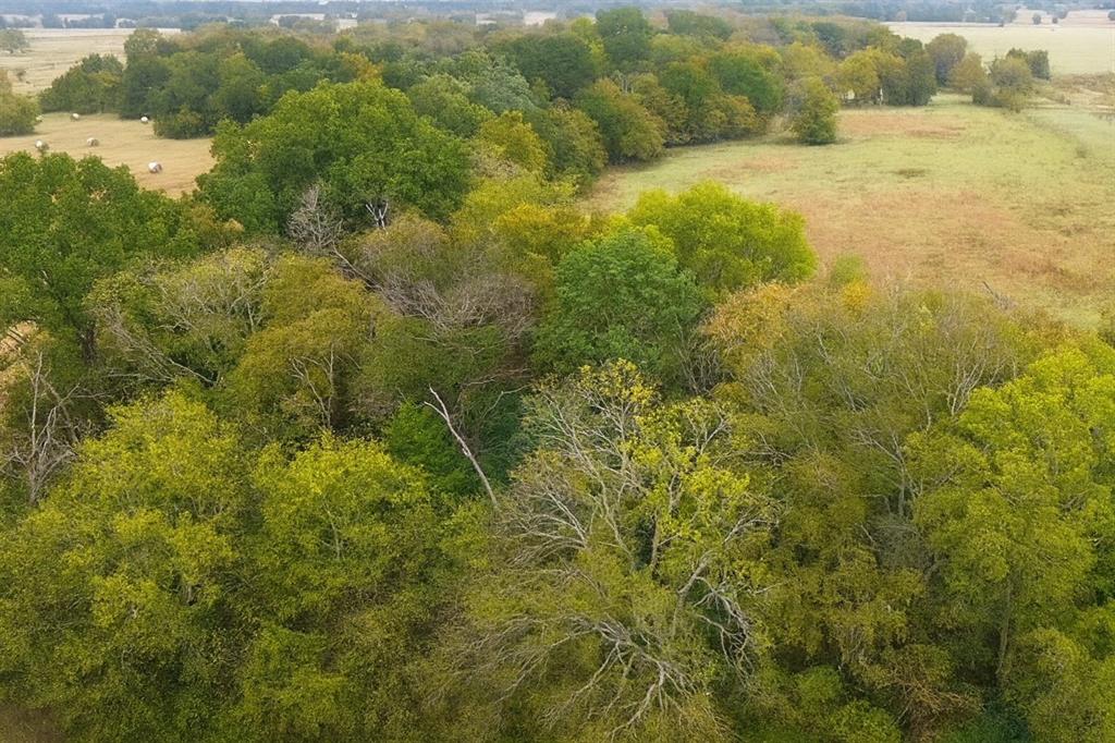 TBD VZCR 1118 - Photo 10