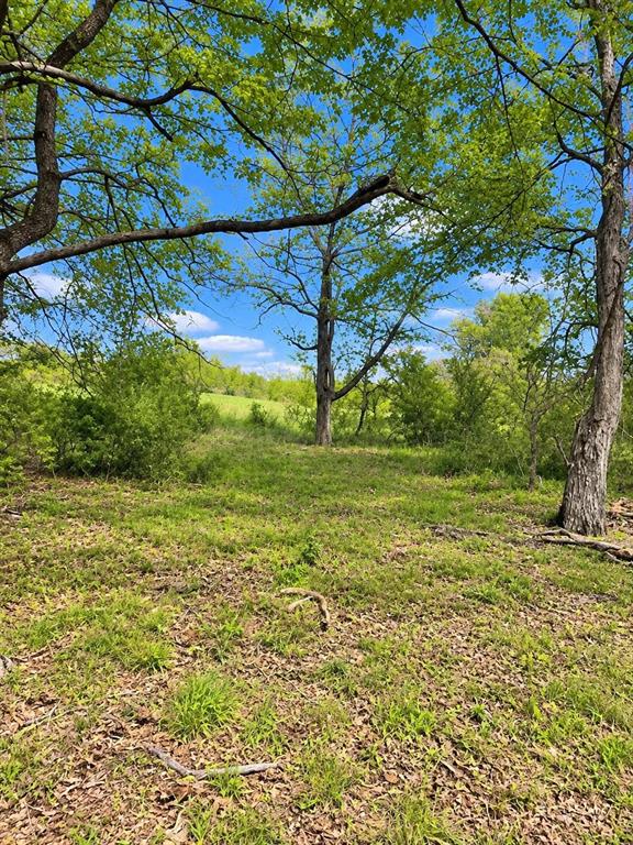 TBD VZCR 1118 - Photo 2
