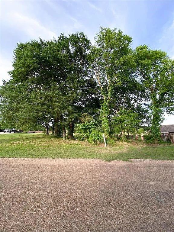 107 Cape Shore Drive - Photo 3