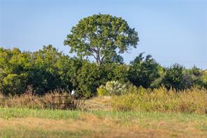 4045 County Road 212 - Photo 7
