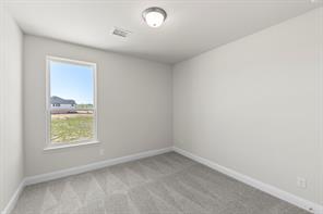 4421 Flowerpot Drive - Photo 22