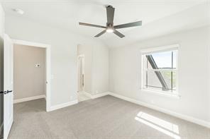 403 Birkdale Lane - Photo 33