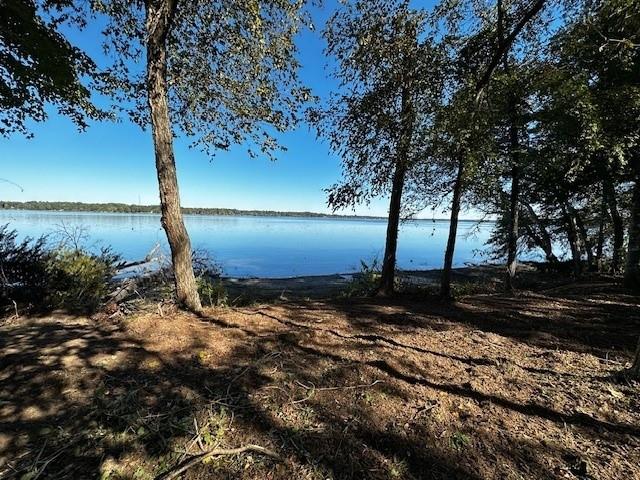 3142 Shadow Pine Drive - Photo 1