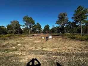 3142 Shadow Pine Drive - Photo 2