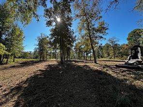 3142 Shadow Pine Drive - Photo 3