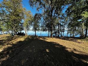 3142 Shadow Pine Drive - Photo 4