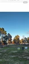 3142 Shadow Pine Drive - Photo 7
