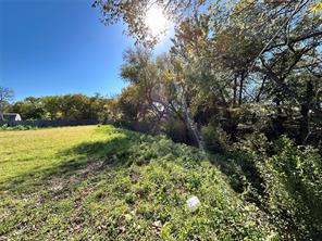 2115 Solona Street - Photo 15