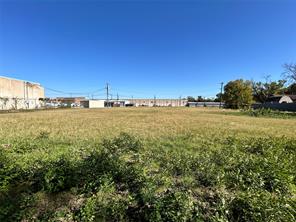 2115 Solona Street - Photo 2
