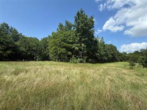 11591-2 Farm Road 269 S - Photo 3