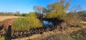 8079 Harden Oaks - Photo 4