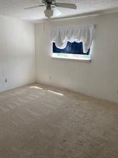 523 Softwood Drive - Photo 6