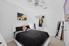 2804 Lolita Way - Photo 27