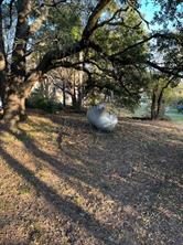 306 Bounding Main Street - Photo 4