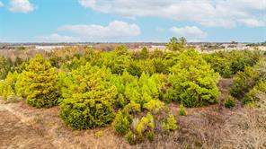 725 SW Loop 286 - Photo 13