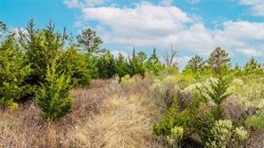 725 SW Loop 286 - Photo 14