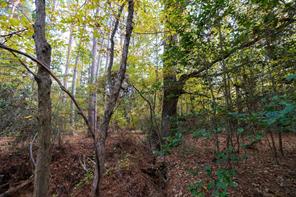 640 County Road 4910 - Photo 16