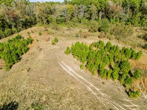 7697 N State HWY 155 - Photo 4