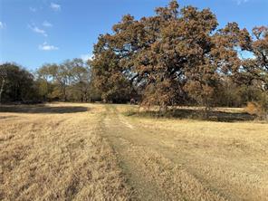 1207 State Highway 24 - Photo 13