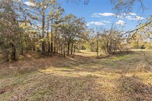 1207 State Highway 24 - Photo 19