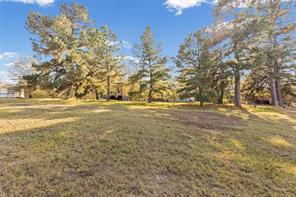 1207 State Highway 24 - Photo 8