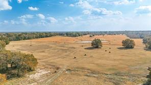 1207 State Highway 24 - Photo 9