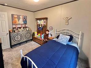 285 County Road  2262 - Photo 28