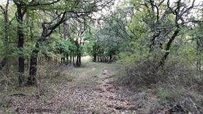 2401B Hwy 679 - Photo 29
