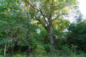 13612 County Road 3900 - Photo 39